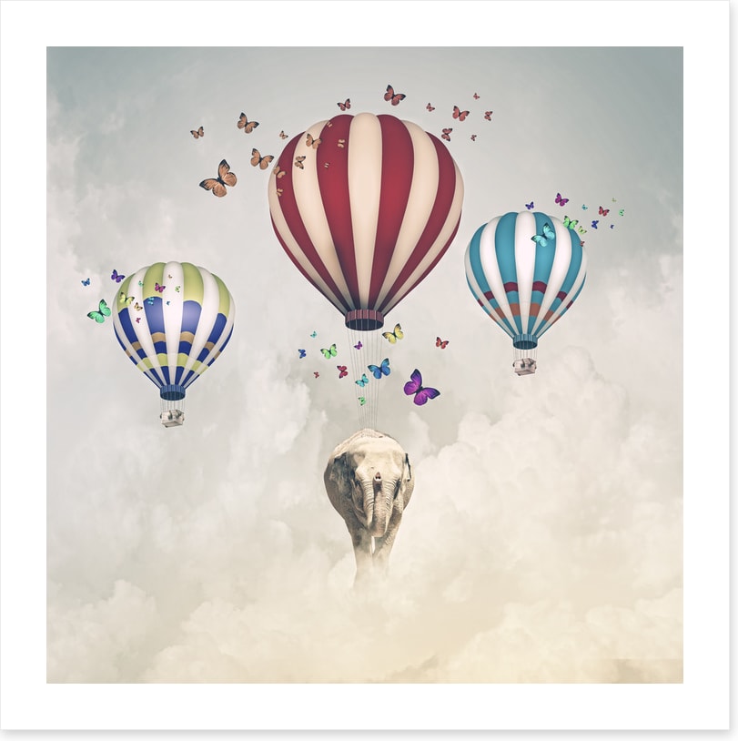 Elephant and balloons