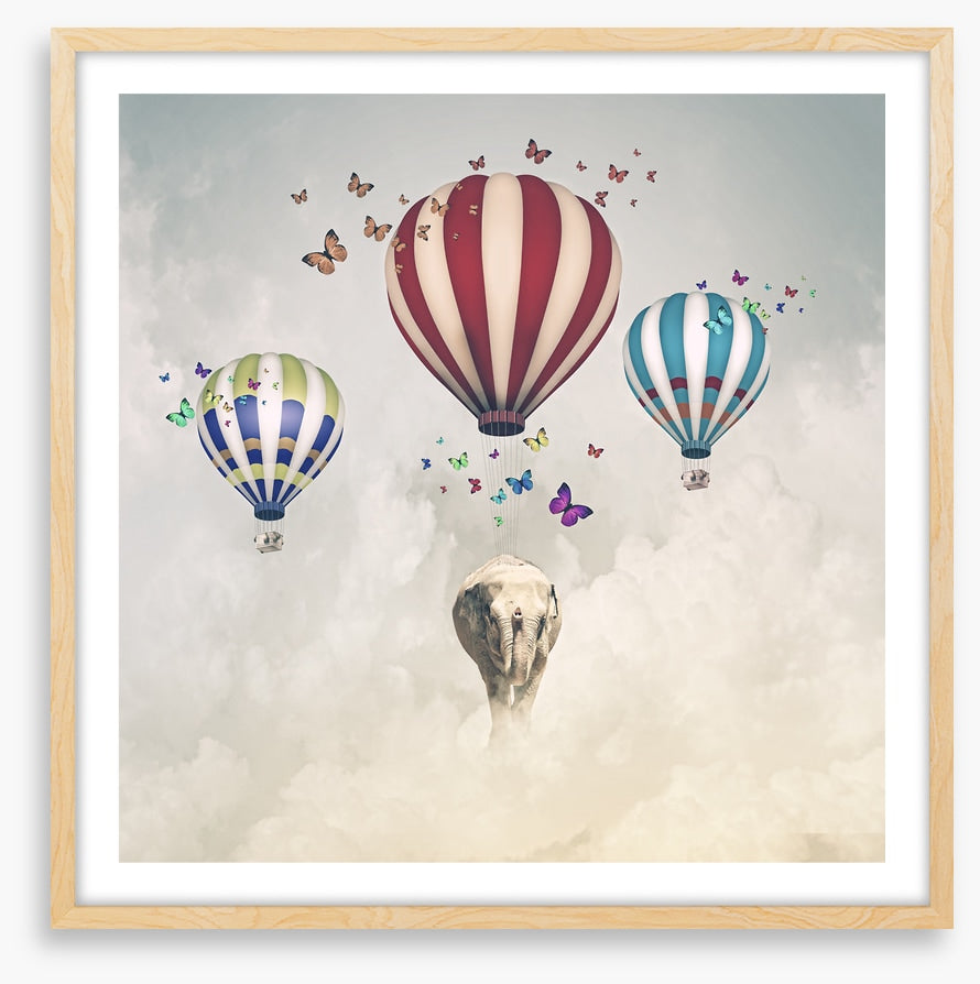 Elephant and balloons