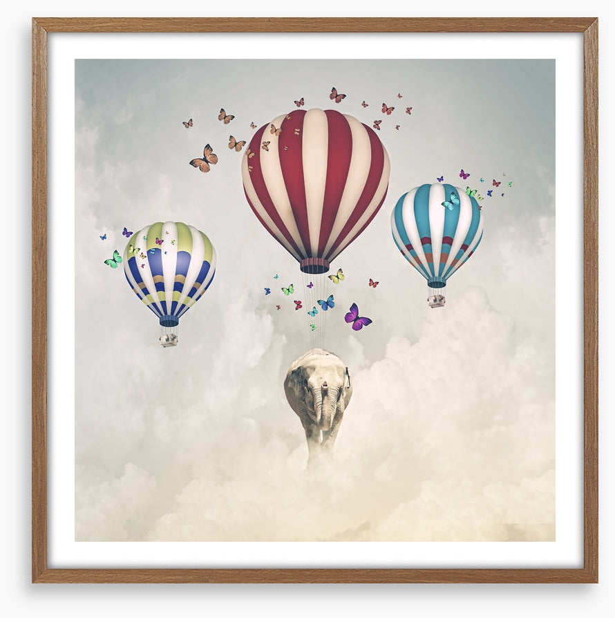 Elephant and balloons