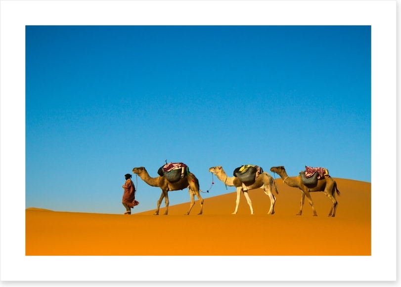 Camel caravan