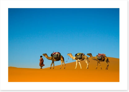 Camel caravan