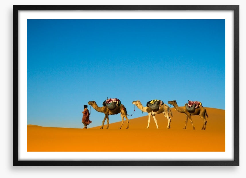 Camel caravan