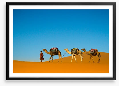 Camel caravan