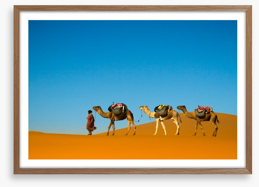 Camel caravan