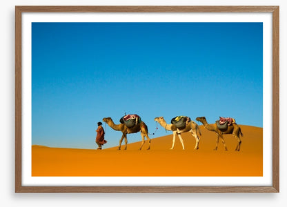 Camel caravan