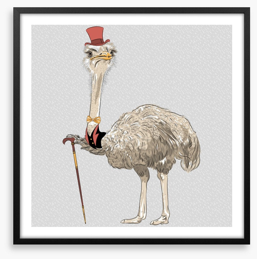 The old ostrich