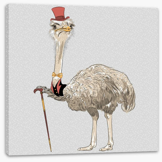 The old ostrich