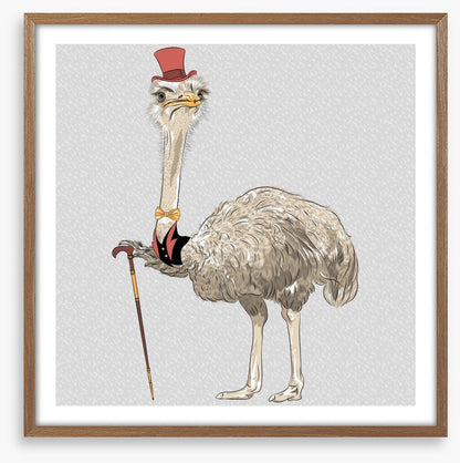 The old ostrich