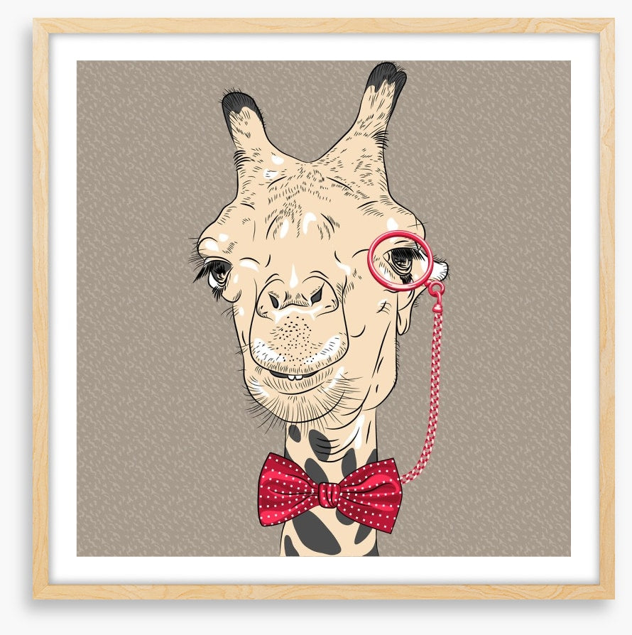 The old giraffe