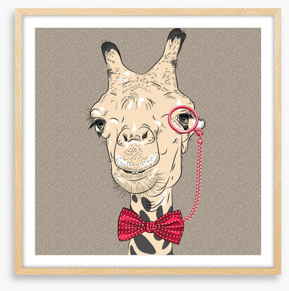 The old giraffe