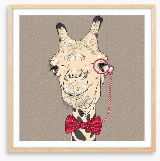 The old giraffe