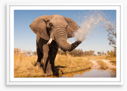 Elephant spray
