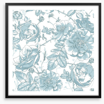 Roses are blue