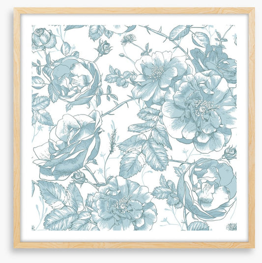 Roses are blue