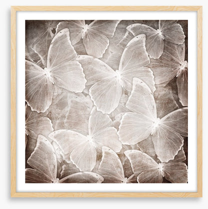 Butterfly chic
