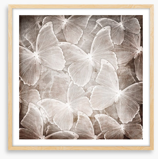 Butterfly chic