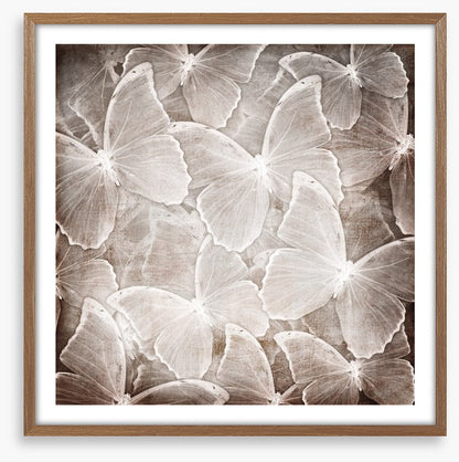 Butterfly chic