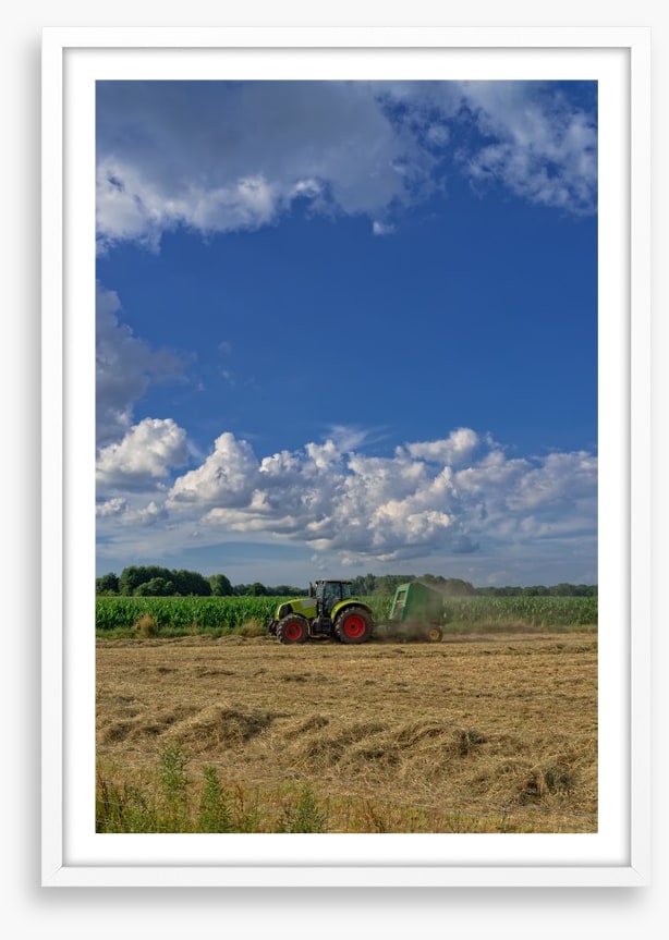 Agriculture