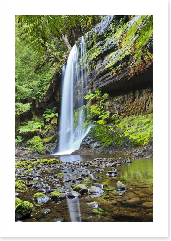 Rainforest cascade