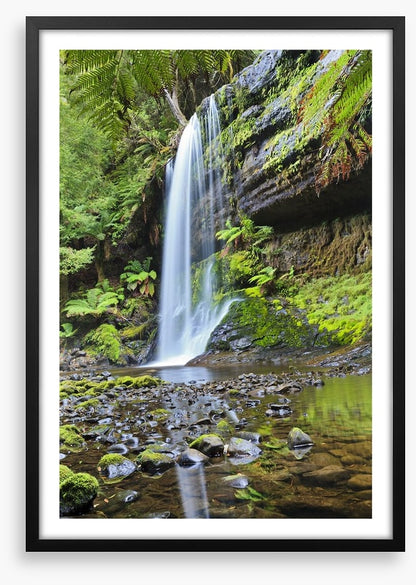 Rainforest cascade