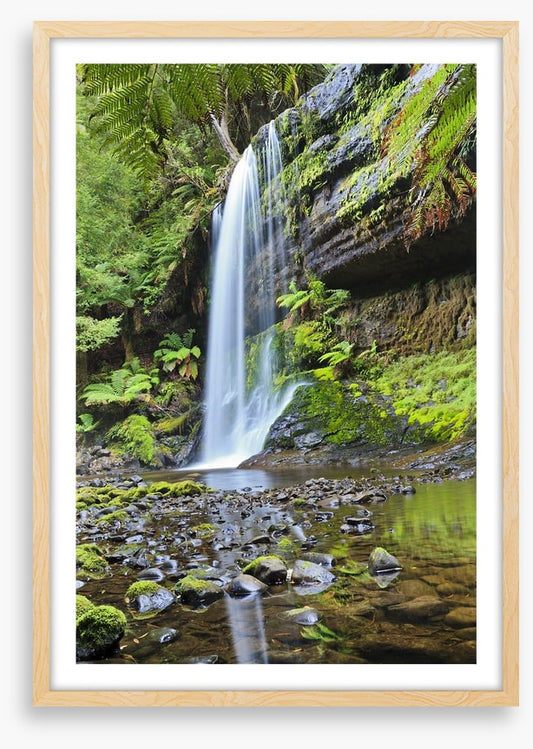 Rainforest cascade