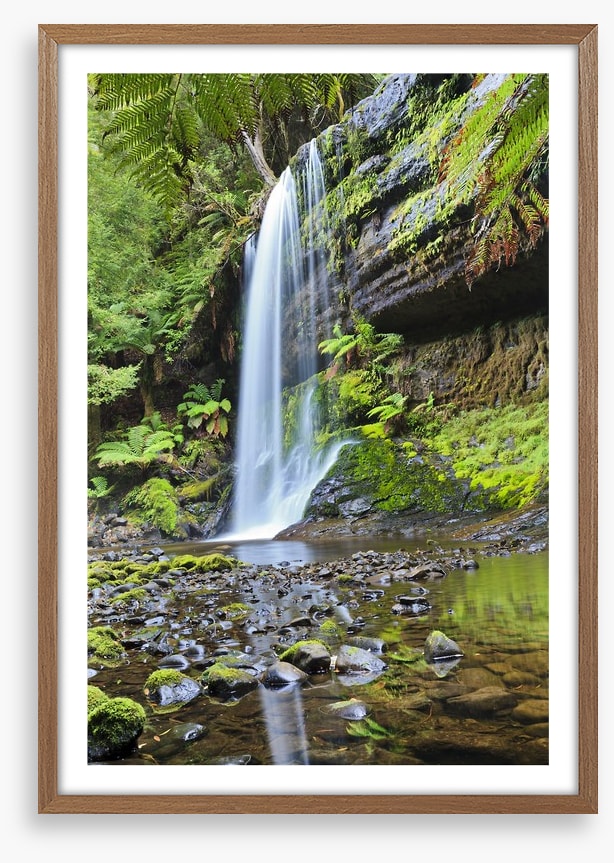 Rainforest cascade