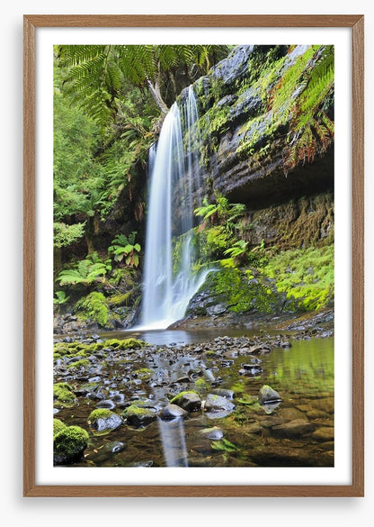 Rainforest cascade