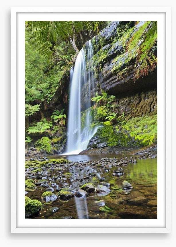 Rainforest cascade