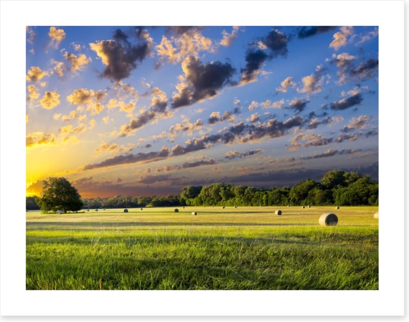 Hay bales at sunrise