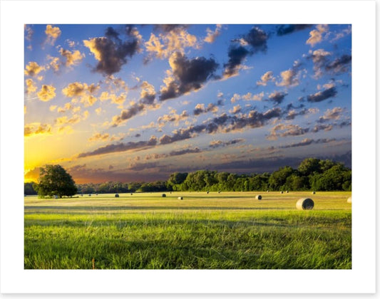 Hay bales at sunrise