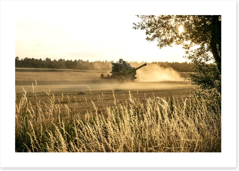 Agriculture