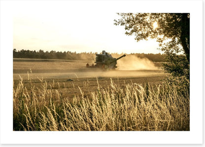 Agriculture
