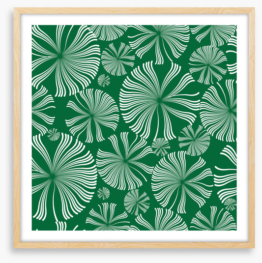 Leaf