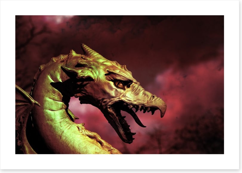 Dragons