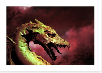 Dragons