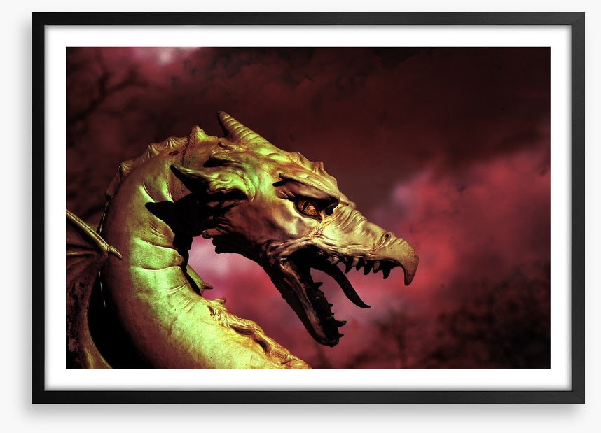 Dragons
