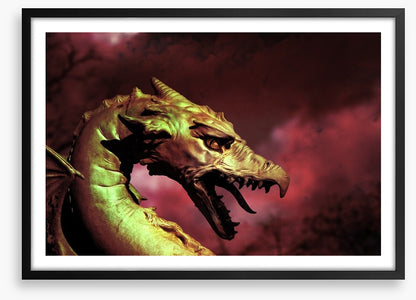 Dragons