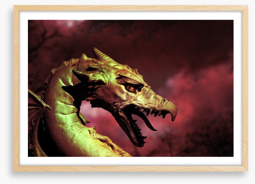 Dragons