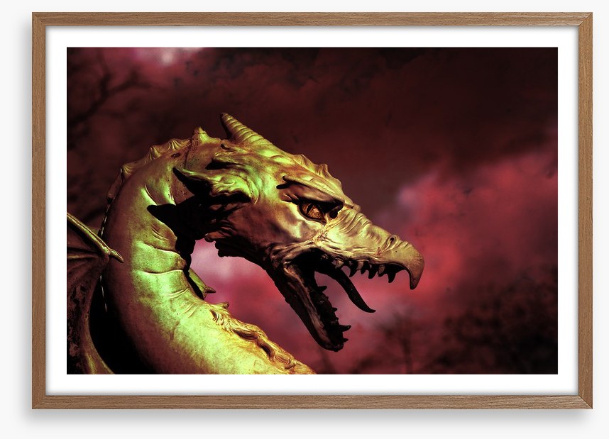 Dragons