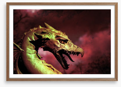 Dragons