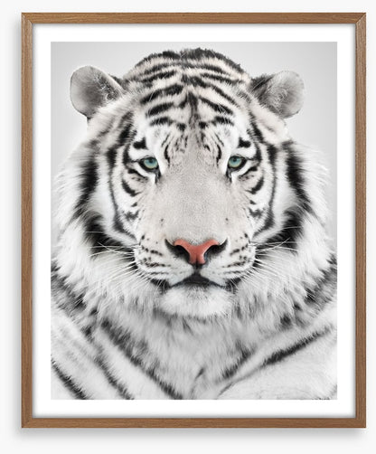 White tiger