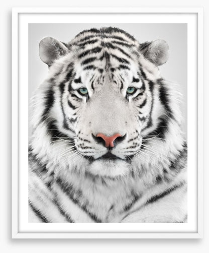 White tiger