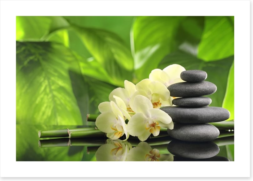 Green spa zen