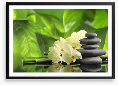 Green spa zen