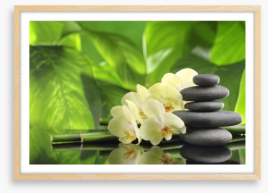 Green spa zen
