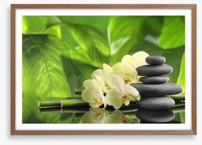Green spa zen