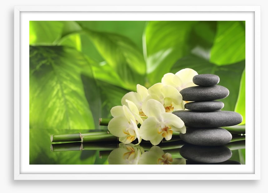 Green spa zen