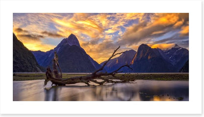 Milford Sound sunset
