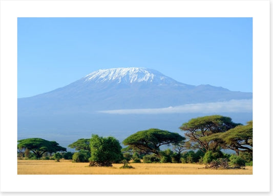 Kilimanjaro snowtop
