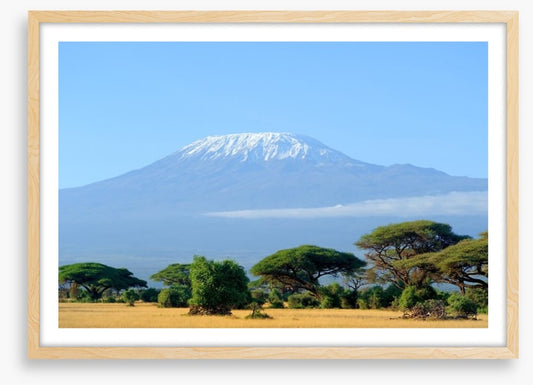 Kilimanjaro snowtop